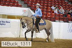 14buck_1311 proof