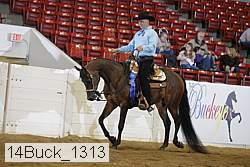 14buck_1313 proof