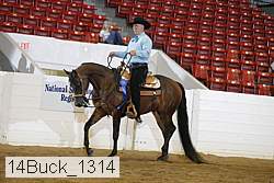14buck_1314 proof