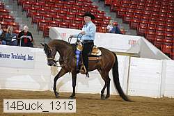 14buck_1315 proof