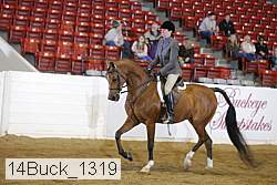 14buck_1319 proof