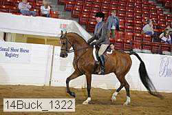 14buck_1322 proof