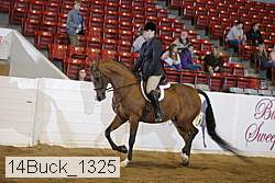 14buck_1325 proof