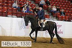 14buck_1330 proof