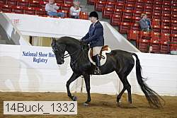 14buck_1332 proof