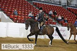 14buck_1333 proof