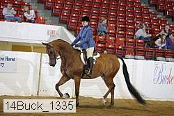 14buck_1335 proof