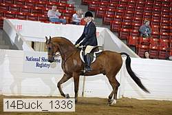 14buck_1336 proof