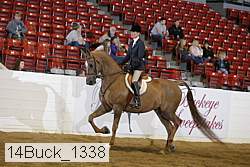 14buck_1338 proof