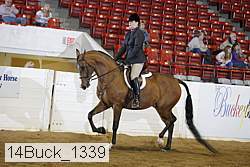 14buck_1339 proof