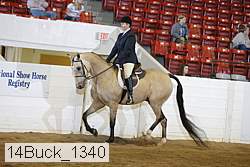 14buck_1340 proof