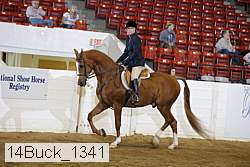 14buck_1341 proof