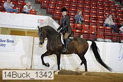 14buck_1342 proof