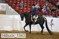 14buck_1343 proof