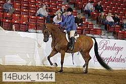 14buck_1344 proof