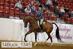 14buck_1345 proof