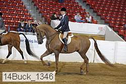 14buck_1346 proof