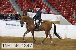 14buck_1347 proof