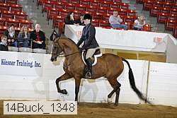 14buck_1348 proof
