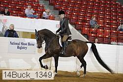 14buck_1349 proof