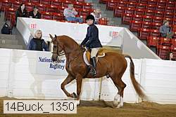 14buck_1350 proof