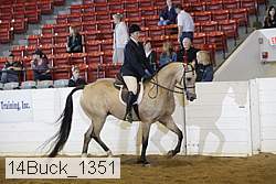 14buck_1351 proof