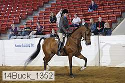14buck_1352 proof