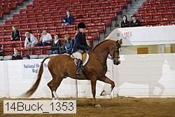 14buck_1353 proof