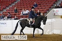 14buck_1354 proof