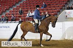 14buck_1355 proof