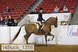 14buck_1356 proof