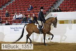 14buck_1357 proof