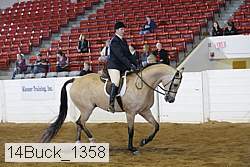14buck_1358 proof