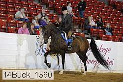 14buck_1360 proof