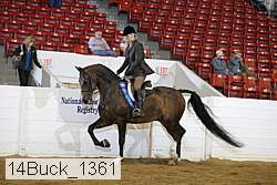 14buck_1361 proof