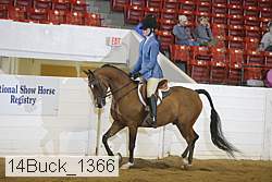 14buck_1366 proof