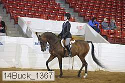 14buck_1367 proof