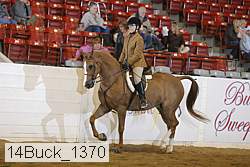 14buck_1370 proof