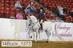 14buck_1373 proof