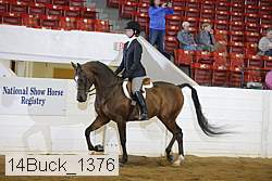 14buck_1376 proof