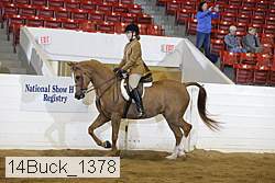 14buck_1378 proof