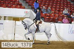 14buck_1379 proof