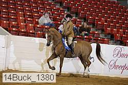 14buck_1380 proof
