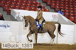 14buck_1381 proof