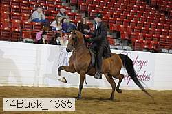 14buck_1385 proof