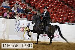 14buck_1386 proof