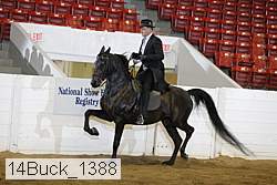 14buck_1388 proof