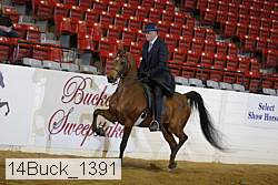 14buck_1391 proof