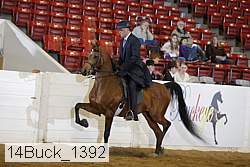 14buck_1392 proof