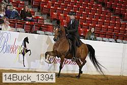 14buck_1394 proof